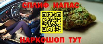 jwh Ярославль