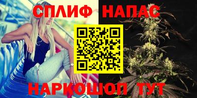 стаф Янаул
