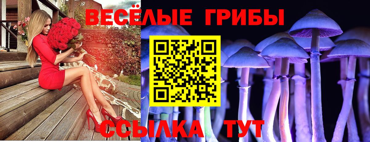 Псилоцибиновые грибы GOLDEN TEACHER  купить  цена  Карпинск  Вход с VPN 