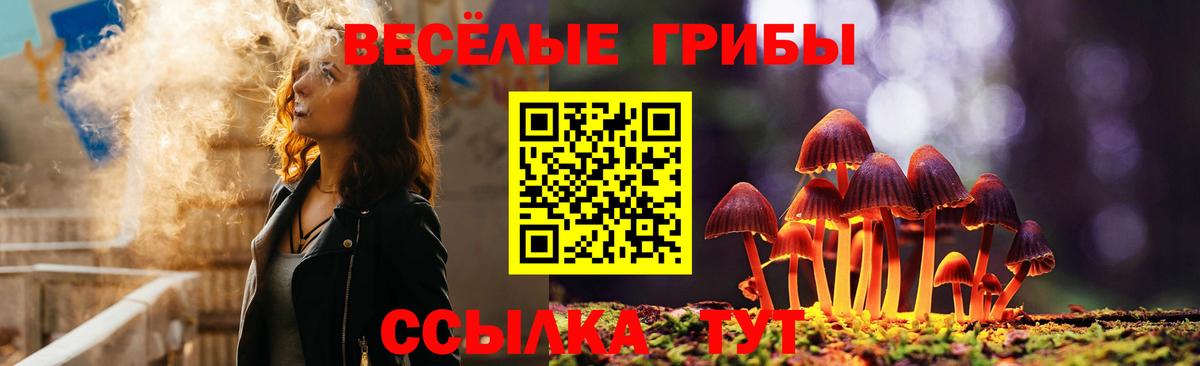 Галлюциногенные грибы Psilocybine cubensis Карпинск